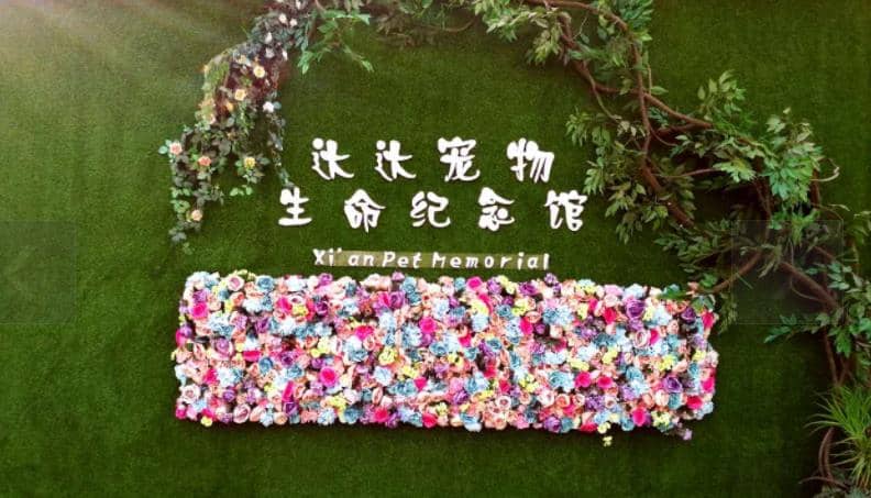 西安寵物墓地價格？西安寵物墓地在哪里？