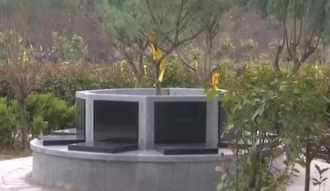 清明, 感恩的時(shí)節(jié)-西安市奉正塬公墓