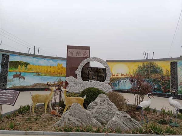 閻良漢皇樹(shù)葬墓園在推廣生態(tài)葬法方面有哪些舉措？