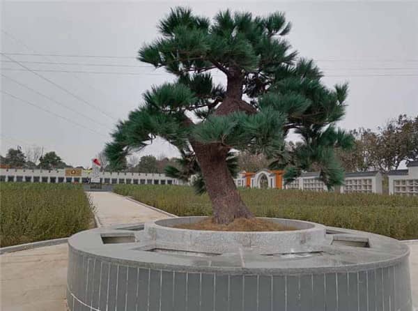 西安漢皇樹(shù)葬墓園的文化氛圍是如何營(yíng)造的，對(duì)逝者和家屬有何意義？