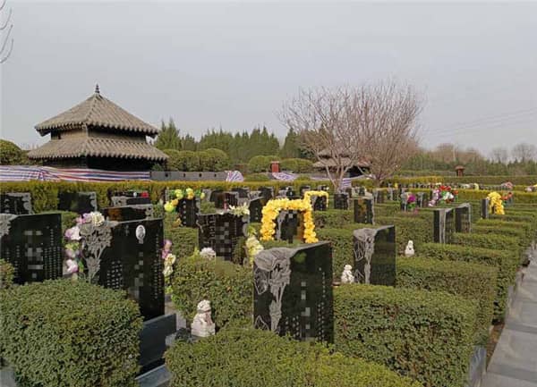 西安閻良漢皇樹葬墓園的環境和服務質量如何，為何成為許多家庭選擇安息之地的理想之地？