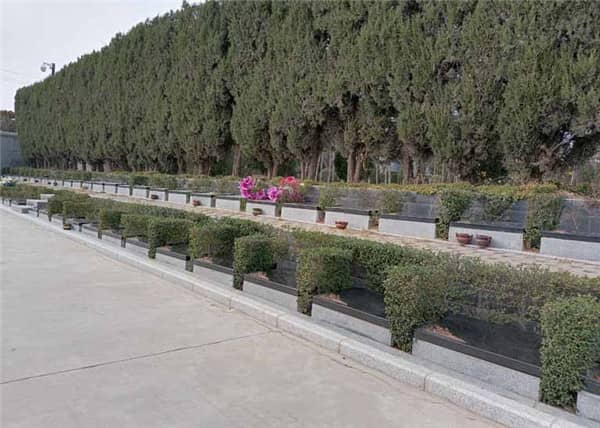 西安閻良漢皇樹葬墓園內部環境、墓地價格及類型等信息