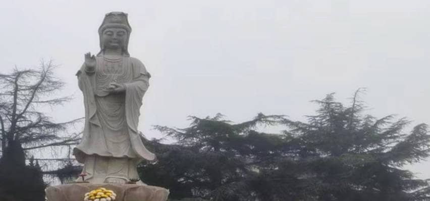 鳳棲山南區(qū)墓園，墓園價(jià)格優(yōu)惠快來選！