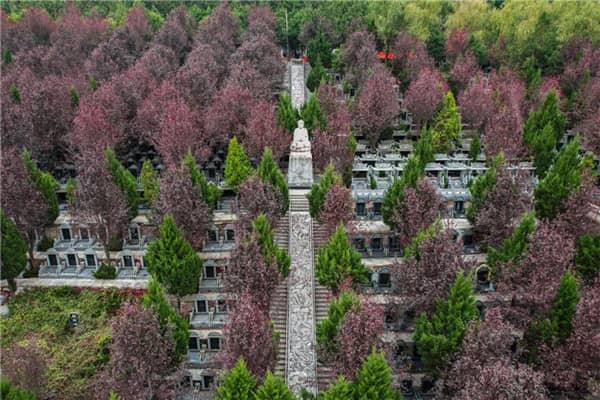 壽陽(yáng)山墓園如何確保家屬能夠方便地參觀和考察，以及墓園的經(jīng)營(yíng)性質(zhì)和服務(wù)質(zhì)量如何？