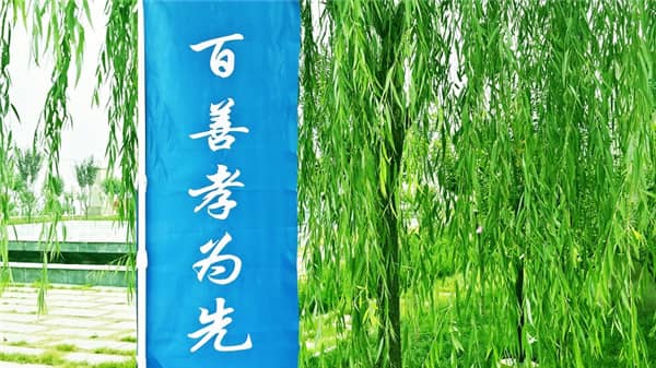 西安壽陽(yáng)山公墓名人：追憶與敬仰之地