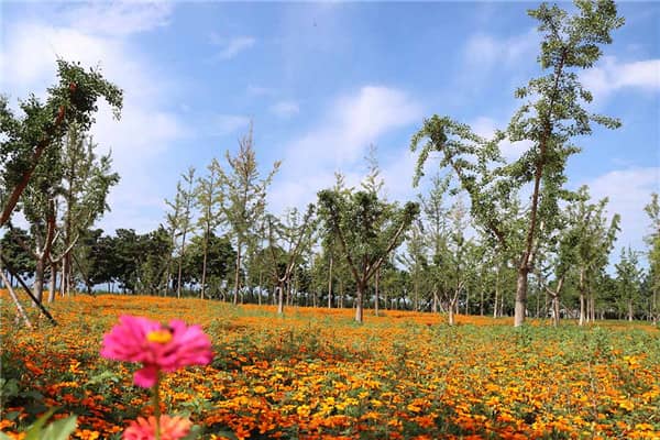 西安壽陽(yáng)山墓園位置、概況、價(jià)格、評(píng)價(jià)
