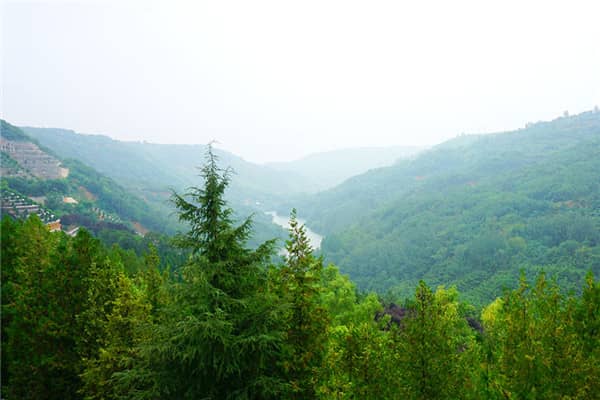 西安高橋墓園與壽陽山哪個好？