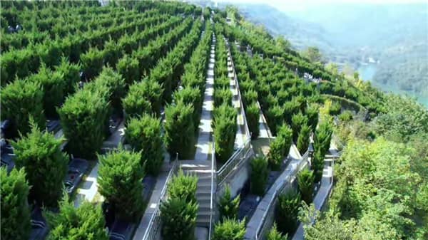 西安壽陽(yáng)山墓園的花壇葬區(qū)有何特色，給訪客帶來(lái)了哪些視覺和心靈上的享受？