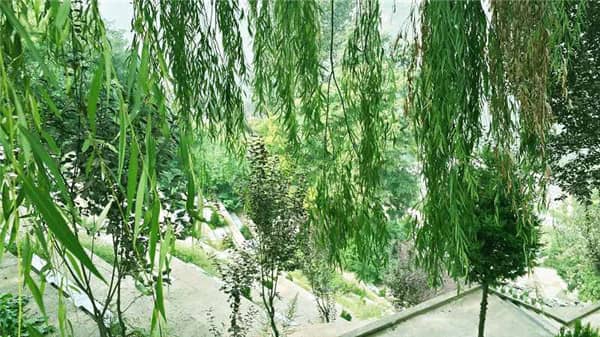 西安壽陽(yáng)山公墓能否燒紙 西安市壽陽(yáng)山墓園掃墓預(yù)約