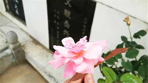西安壽陽山墓園的安葬流程是怎樣的？有哪些關(guān)鍵環(huán)節(jié)需要注意？