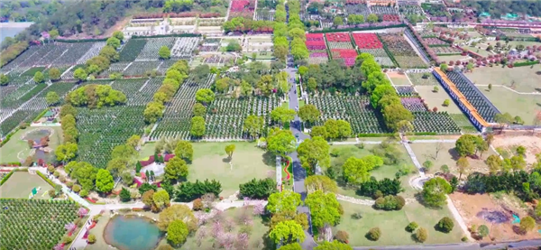 西安壽陽山墓園的花壇葬服務具體包括哪些內容，如何確保花壇的長期整潔與美觀？