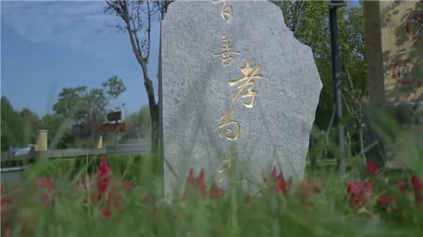 請問西安壽陽山墓園主要提供哪些服務？
