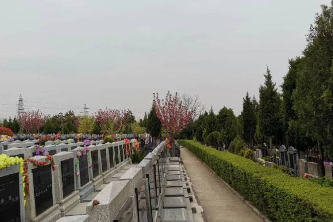 清明節期間，如何預約進入棗園山墓進行祭掃活動？