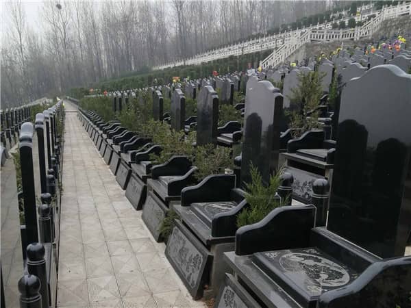 西安九龍山公墓的生態(tài)葬墓地有哪些特點(diǎn)？為什么價(jià)格需要實(shí)地參觀后才能確定？