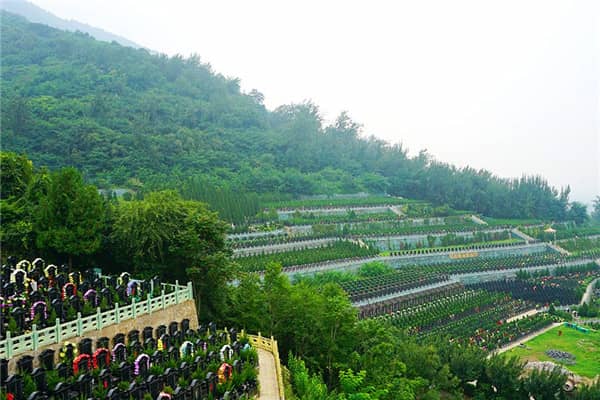 西安九龍山墓園怎么樣，讓亡者有個溫馨的家