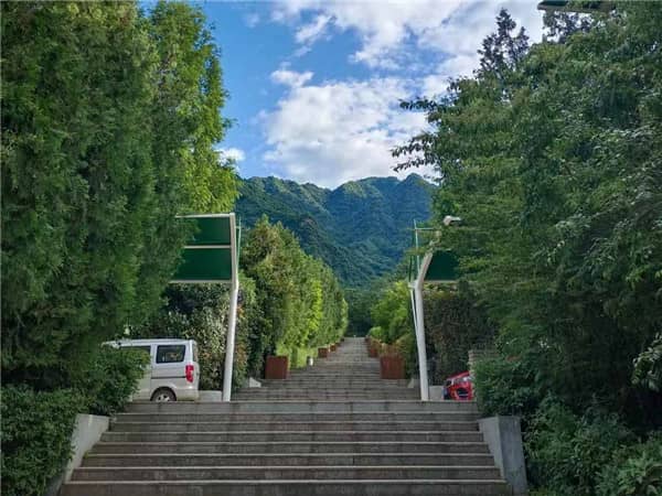 西安九龍山公墓推出的樹葬方式有何特別之處?