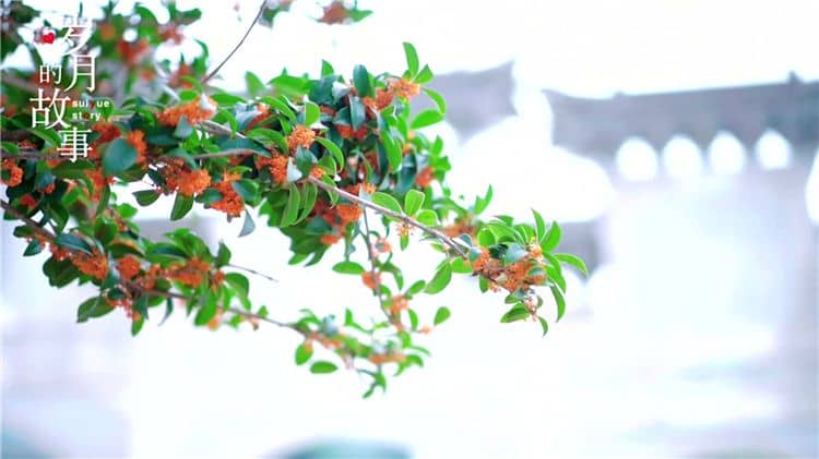 西安霸陵陵園的環(huán)境如何，對(duì)逝者和家屬有何特殊意義？