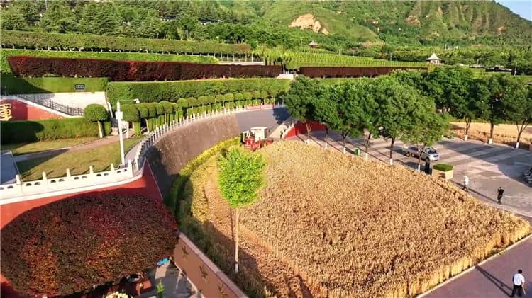 西安霸陵墓園地形特點概括，墓地大比拼