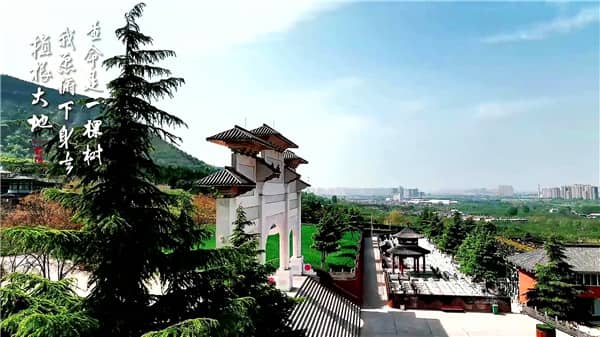 西安灞橋區(qū)霸陵墓園,哪家更劃算?