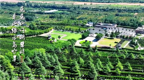 西安霸陵墓園新區(qū)掃墓預(yù)約入口，悼念之際，懷念永存
