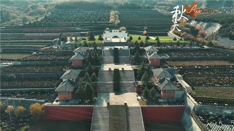 霸陵墓園都提供哪些生態葬方式？