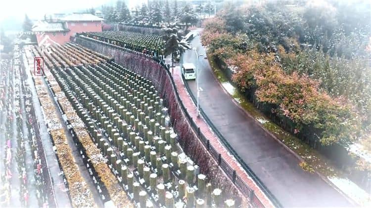 西安霸陵公墓提供哪些交通服務來方便家屬和訪客？