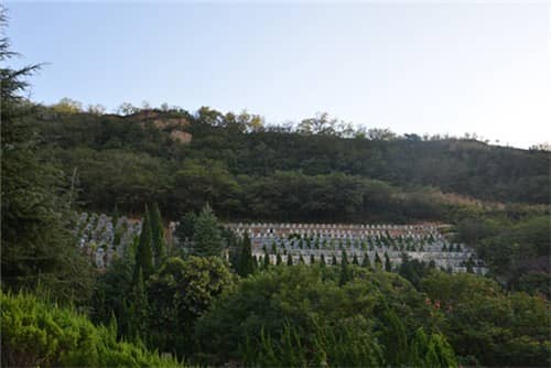 西安高橋墓園提供哪些類型的墓地？