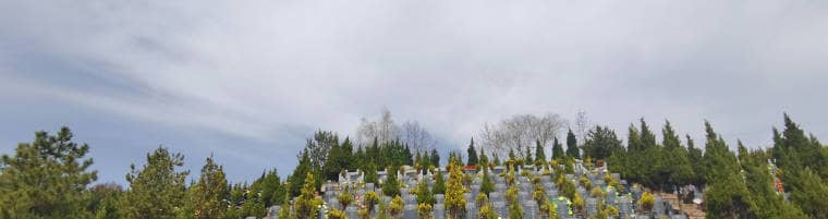 白鹿原墓園各區域墓地有哪些特點和選擇建議？