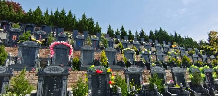 西安白鹿原墓園內是如何進行區域劃分的，每個區域有哪些獨特的風格和特點？