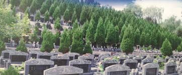 西安鳳凰嶺公墓未來(lái)有哪些發(fā)展規(guī)劃和愿景？