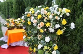 遷墳時祖先遺骸脊骨順序錯亂是否會影響風水？科學解讀與民俗建議