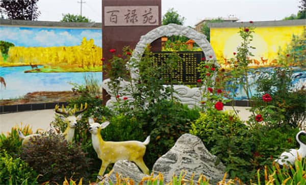 壽衣不能放在餐廳的三個地方？禁忌解析與注意事項