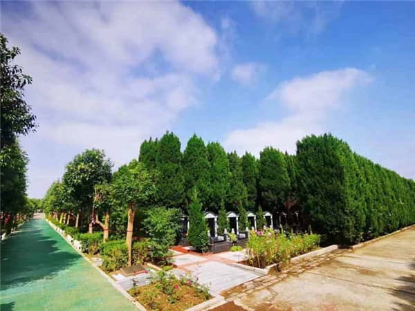城區辦喪行為規范：文明治喪，共建和諧環境