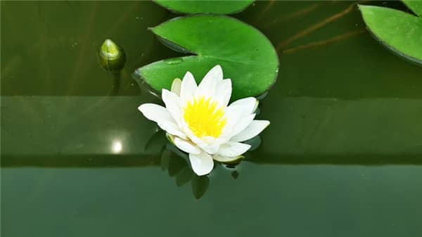 殯葬常識(shí)：如何合理準(zhǔn)備陪葬用品？