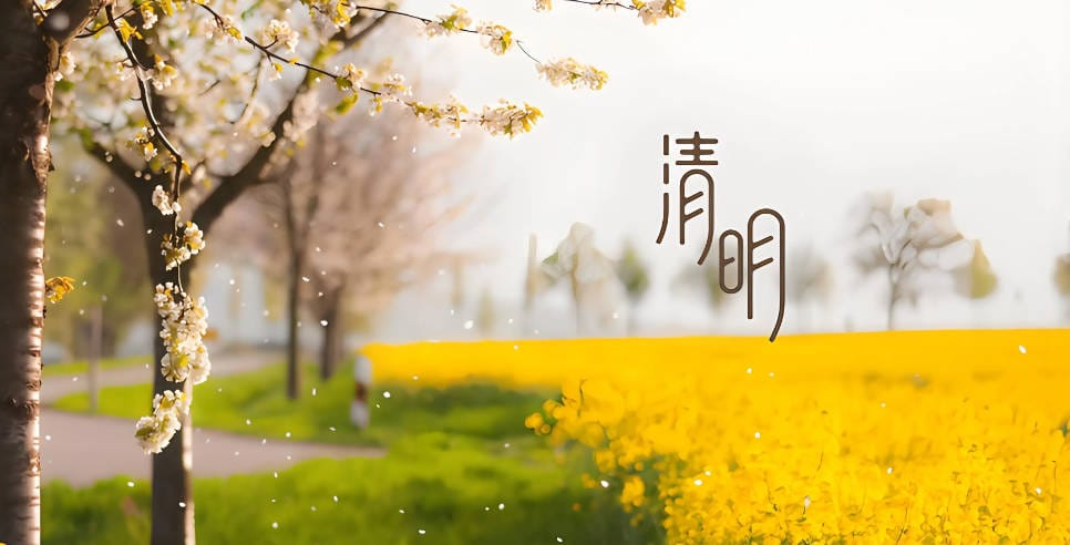 下葬骨灰盒需要打傘嗎？傳統習俗與現代做法解析