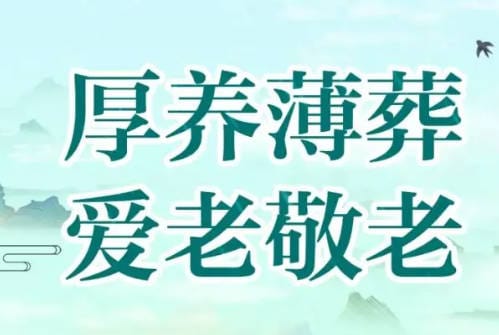 墓地9一7怎么樣 墓地編號