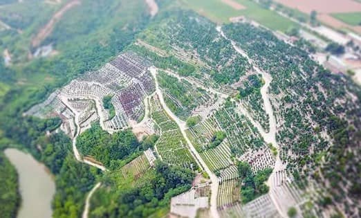 西安驪山墓地風水如何，讓您的挑選更省心