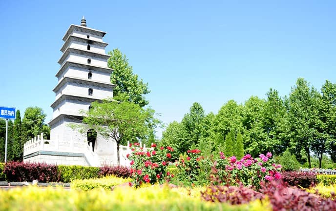能給我一些其他的預約墓地咨詢的途徑嗎？