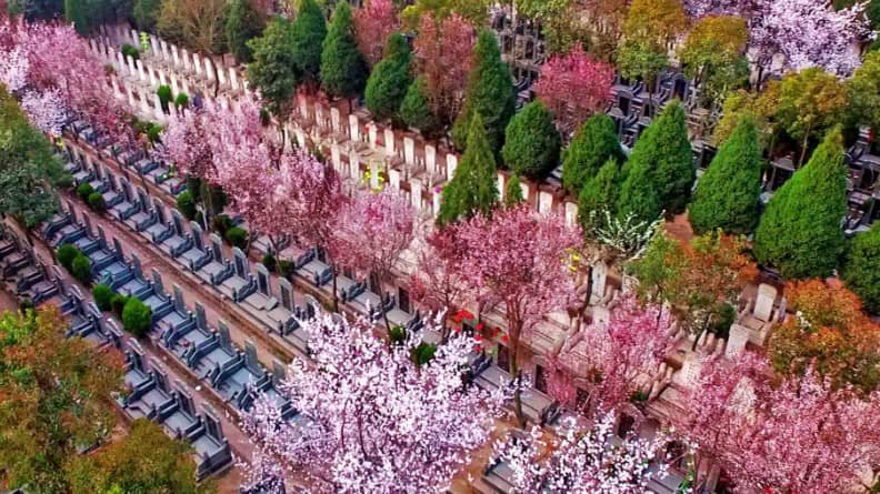在購買西安陵園墓地過程中，為何需要簽訂《維護管理合同》？這份合同的主要內容有哪些？