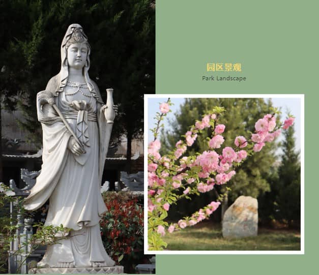 西安墓園的類型，限時搶購公墓墓地